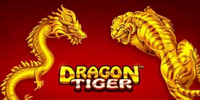 Các phương pháp cách soi cầu rồng hổ phổ biến
