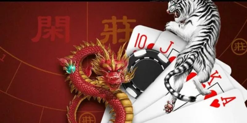 Kinh nghiệm nâng cao khi soi cầu rồng hổ